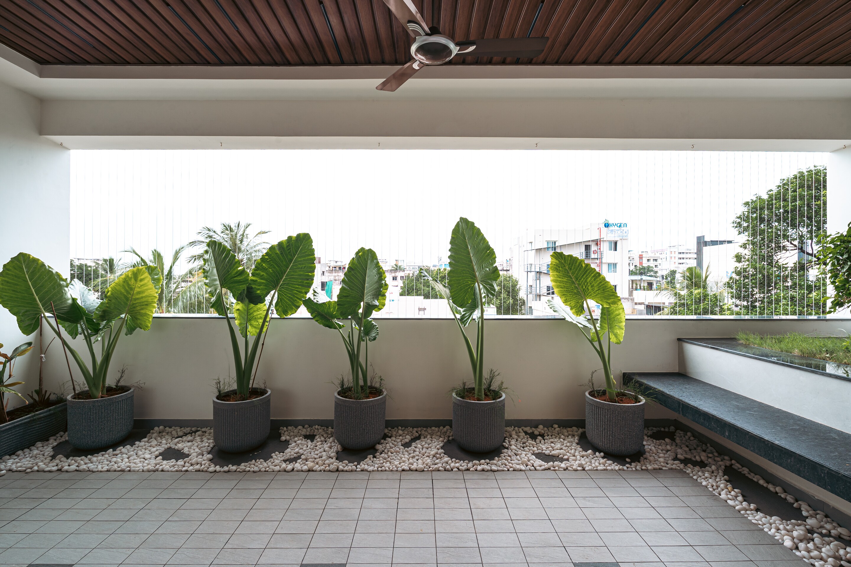 A planted terrace off the upper floor.