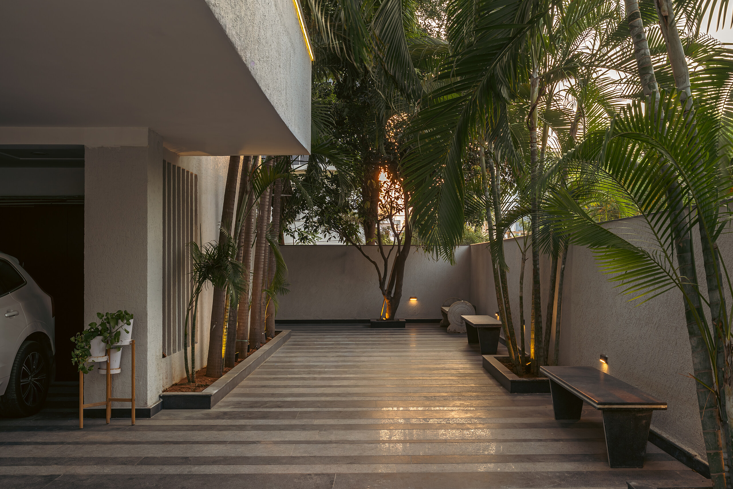 The arrival court. Tall palms rise between a timber deck and the angled entrance soffit.